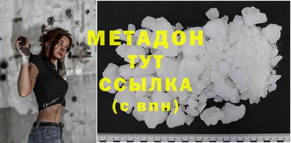 прущие грибы Мегион
