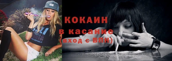 ПСИЛОЦИБИНОВЫЕ ГРИБЫ Медвежьегорск