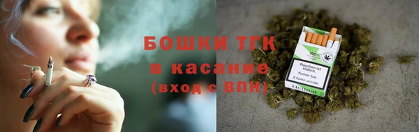 прущие грибы Мегион