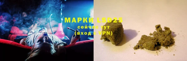 прущие грибы Мегион