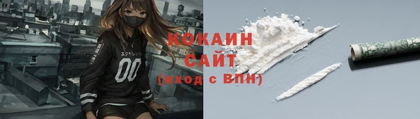 прущие грибы Мегион