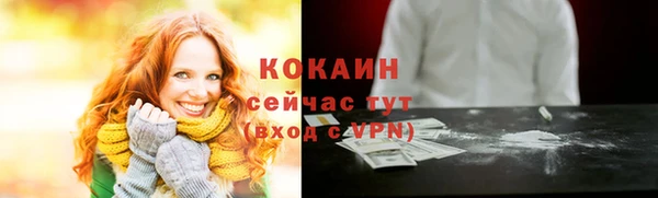 прущие грибы Мегион