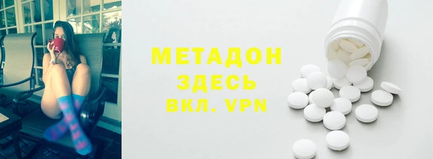 прущие грибы Мегион