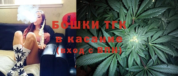 амф Медногорск