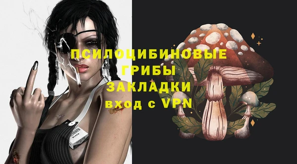 прущие грибы Мегион