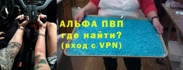 прущие грибы Мегион