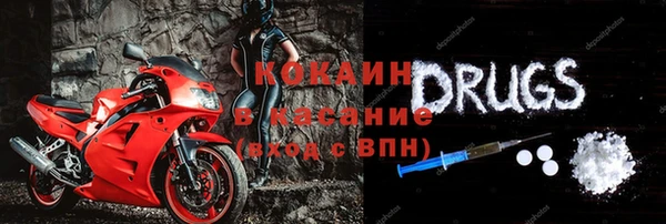 прущие грибы Мегион