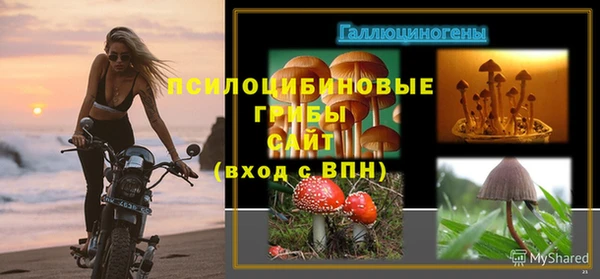 ПСИЛОЦИБИНОВЫЕ ГРИБЫ Медвежьегорск