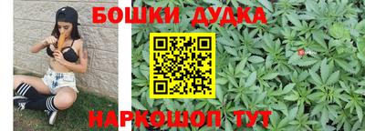хмурый Бийск