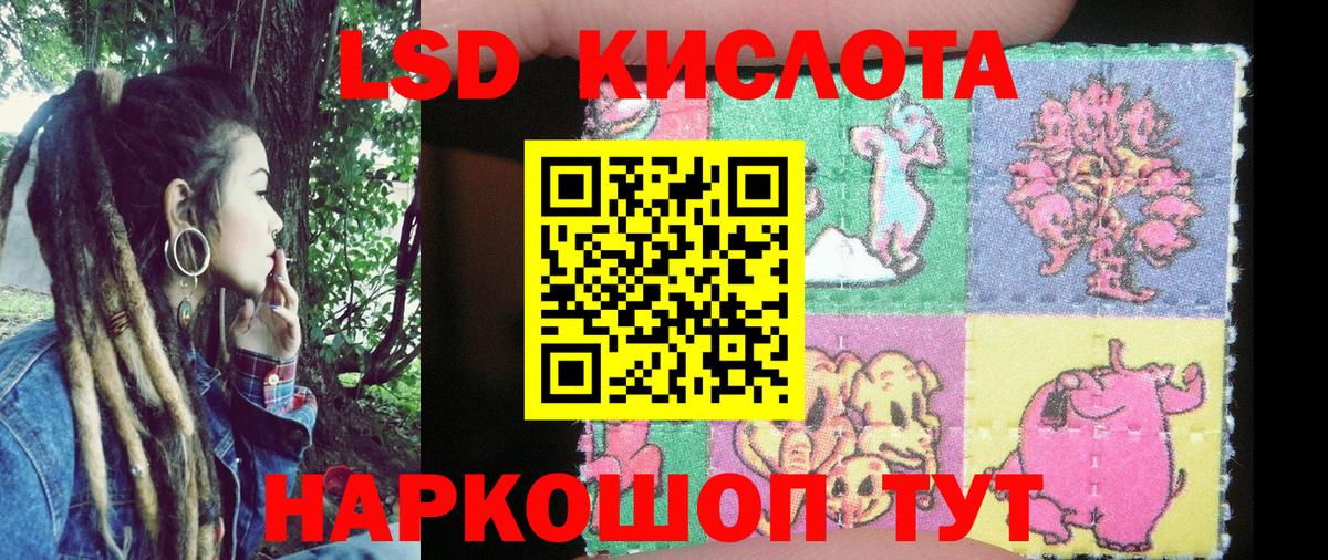 A PVP Раменское