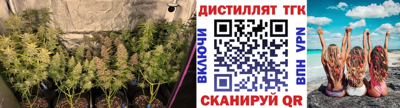 сколько стоит  Раменское  Дистиллят ТГК вейп 