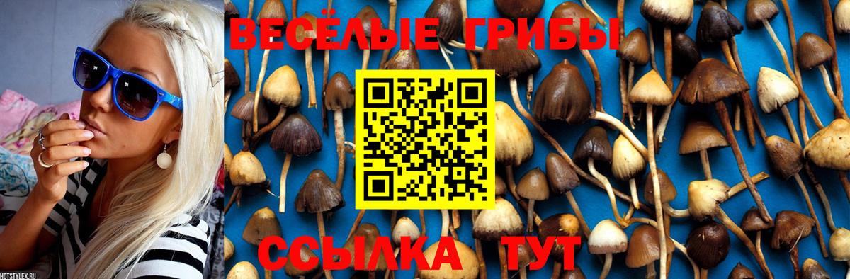Псилоцибиновые грибы Cubensis  Вход с VPN  Псилоцибиновые грибы Psilocybe  Раменское 