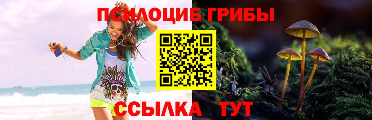 Псилоцибиновые грибы GOLDEN TEACHER Раменское